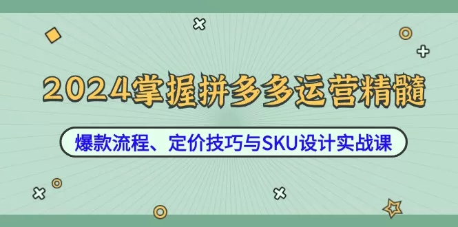2024拼多多运营实战：爆款流程、定价技巧与SKU设计全攻略
