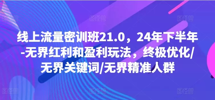 2024下半年无界红利与盈利玩法，线上流量密训班21.0终极优化指南