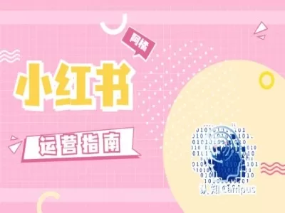 小红书运营实战经验：从定位到爆款笔记的完整指南