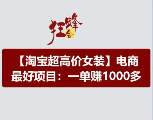 淘宝超高价女装项目，电商最好赛道，一单赚1000多 -1