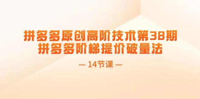 拼多多阶梯提价破量法高阶技巧课程封面