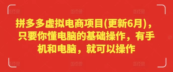 2024拼多多虚拟电商项目：基础操作+选品运营全攻略
