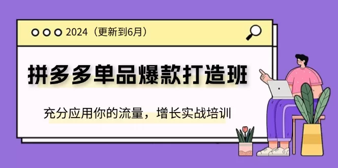 2024拼多多单品爆款打造班：流量增长实战培训（6月更新）