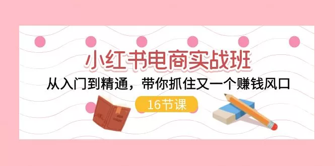 小红书电商实战班：16节课程从入门到精通，抓住赚钱风口