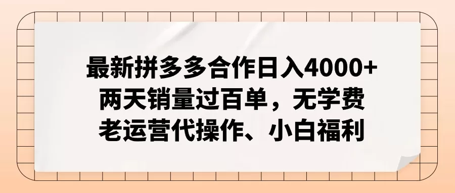 拼多多合作项目日入4000+，老运营代操作小白零门槛福利