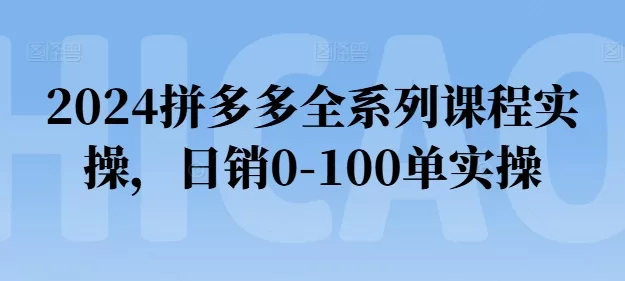 2024拼多多全系列实操课程：从0到日销100单完整攻略