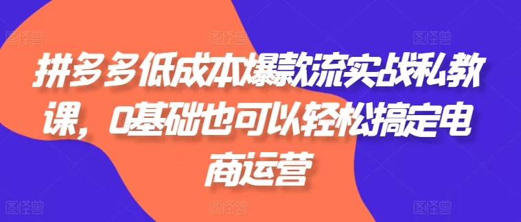 拼多多低成本爆款流实战私教课，0基础也能快速掌握电商运营