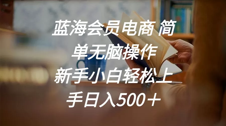 蓝海会员电商新手教程：爱奇艺会员变现日入500元