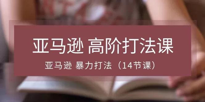 亚马逊高阶暴力打法14节课:选品广告与ACOS优化全攻略