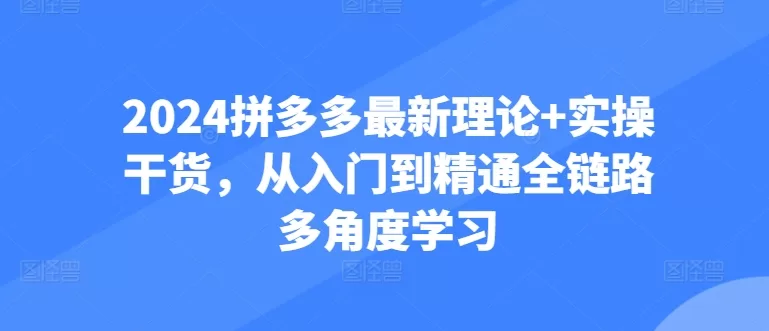 2024拼多多运营进阶：防比价到自然流全链路实操攻略