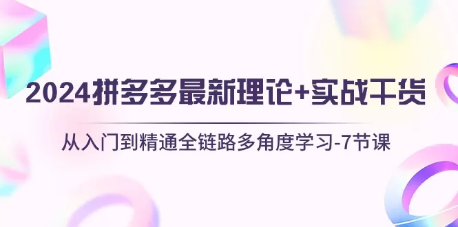 2024拼多多运营全链路实战：7节课从入门到精通防比价与付费推广