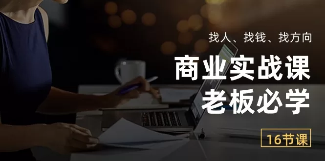 老板必学商业实战课：16节课搞定找人找钱找方向