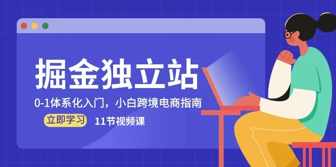 独立站掘金指南:0-1体系化入门,跨境电商新手必看11节视频课