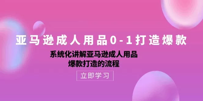 亚马逊成人用品0-1打造爆款课:系统化讲解亚马逊成人用品爆款打造的流程