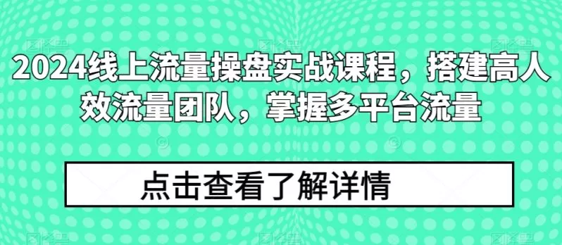 2024流量王者修炼手册：高效团队搭建与多平台流量操盘实战