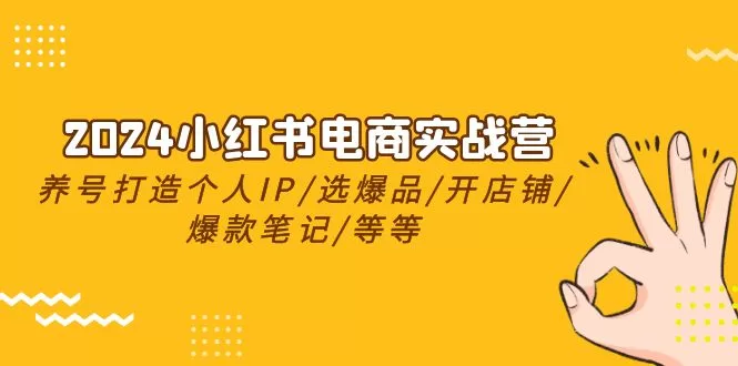 2024小红书电商实战课：养号打造IP、选爆品、开店铺与爆款笔记24节
