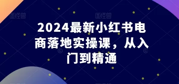 2024小红书电商实操课：从入门到爆款运营全攻略