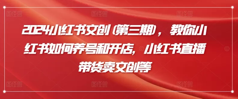 2024小红书文创攻略：养号开店到直播带货全流程解析