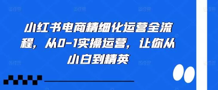 小红书电商精细化运营全流程：从0到1实操指南，小白变精英