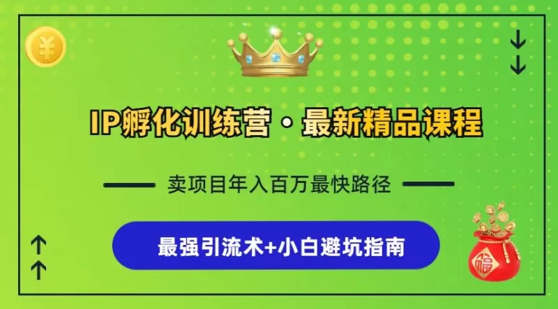 IP孵化训练营：知识付费全流程与最强引流术实战指南