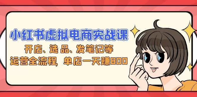 小红书虚拟电商实战课：开店选品笔记运营，单店日赚800元