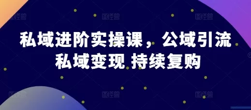 私域进阶实操课：公域引流+私域变现+持续复购全攻略