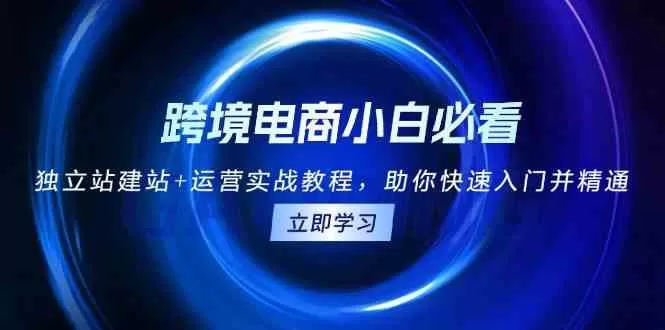 跨境电商小白必看!独立站建站+运营实战教程,助你快速入门并精通