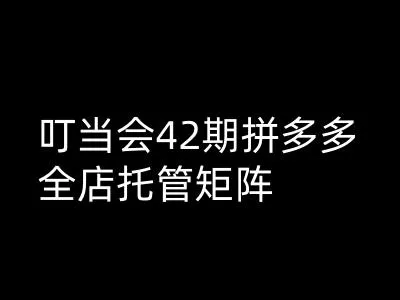 拼多多全店托管矩阵：第42期高阶技术实战课，盈利不追单量