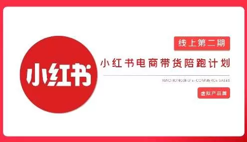 2025小红书虚拟电商实战课，从0到1打造无货源店铺，AI+爆款笔记轻松变现