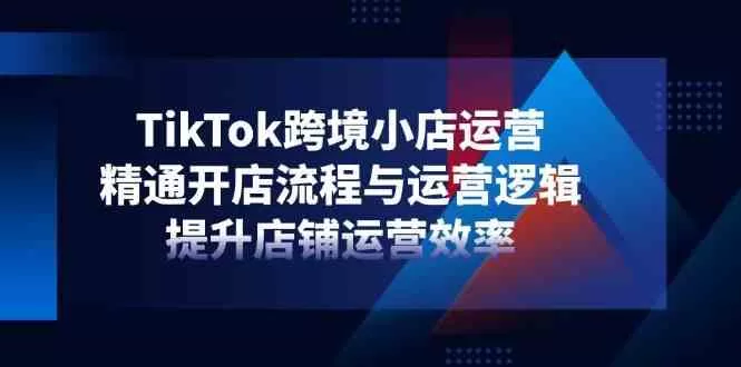 TikTok跨境小店运营全攻略:开店流程与运营逻辑实战课