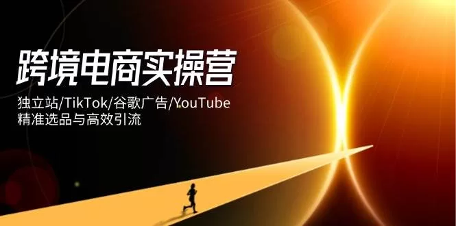 跨境电商实操营：独立站+TikTok+谷歌广告全平台精准选品与高效引流