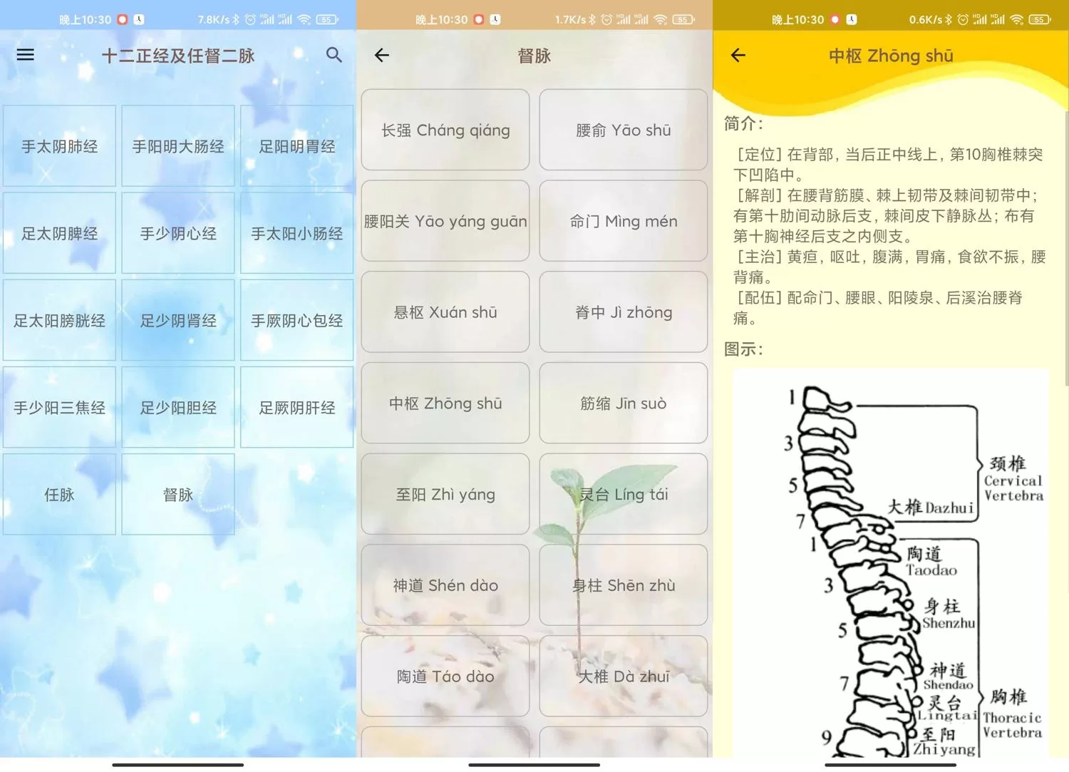 安卓人体穴位图解v3.1.8离线版 – 中医经络穴位查询APP