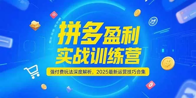 拼多多强付费盈利训练营：2025最新运营技巧与实战合集