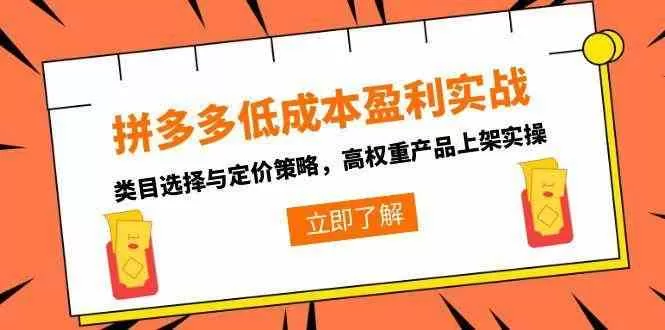 拼多多低成本盈利实战：类目选择与定价策略及高权重产品上架技巧