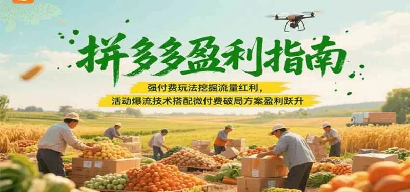 拼多多盈利指南：强付费玩法挖掘流量红利，活动爆流技术搭配微付费方案实现盈利跃升