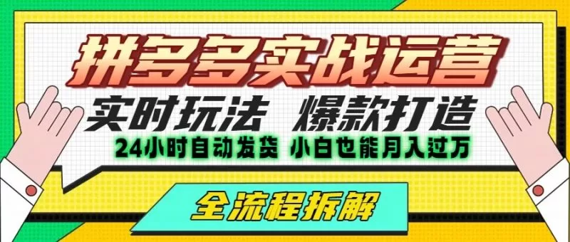 拼多多最新实战运营高投产：长久稳定项目，单店利润一天三位数