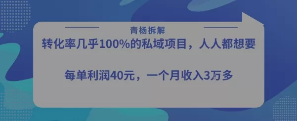 高转化私域项目：每单利润40-50元，新手月入过万实操指南