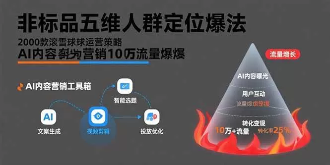 非标品爆款全链路:五维人群定位+2000款滚雪球+AI引流10万