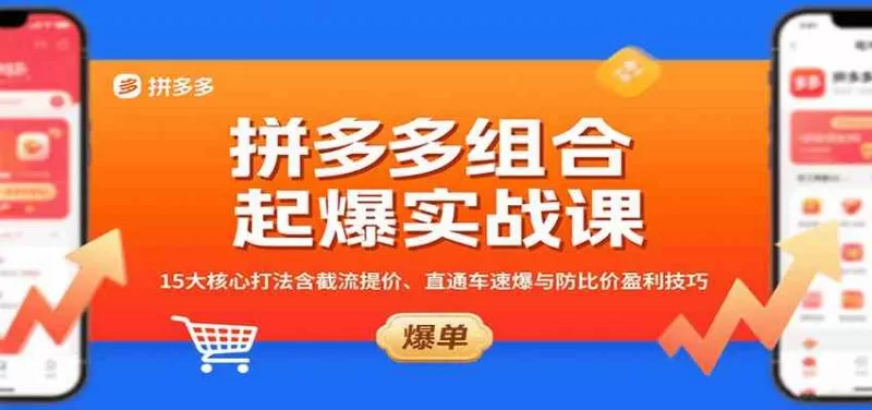 拼多多组合起爆实战：15种核心打法从截流提价到直通车速爆盈利