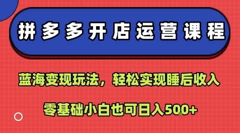 拼多多开店运营课程：蓝海变现玩法，零基础小白轻松实现日入500+睡后收入