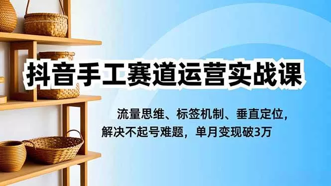 抖音手工赛道运营实战课：解决不起号难题，单月变现破3万