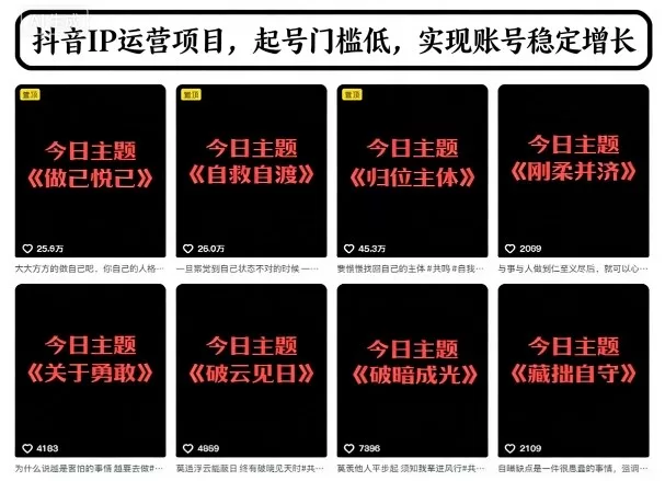 抖音IP运营项目今日主题玩法，低门槛起号实现稳定增长