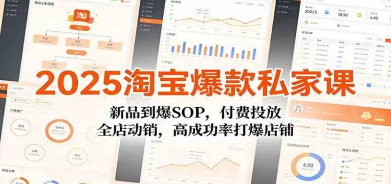 2025淘宝爆款私家课:7天新品到爆SOP与付费投放全店动销实战打法