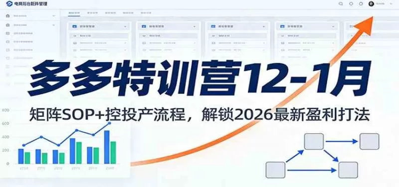 拼多多特训营12-1月：矩阵SOP+控投产流程，解锁2026盈利新打法