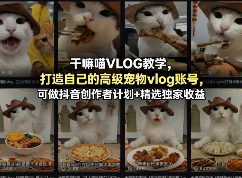 宠物VLOG账号打造教程：抖音创作者计划变现全流程拆解