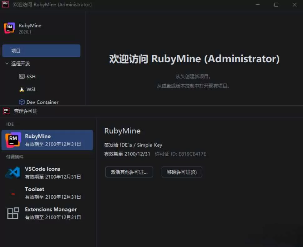 RubyMine 2026.1.0.0 高级版下载 永久激活插件集成