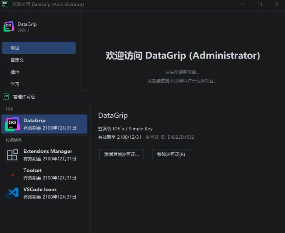 DataGrip v2026.1.0 高级版：集成