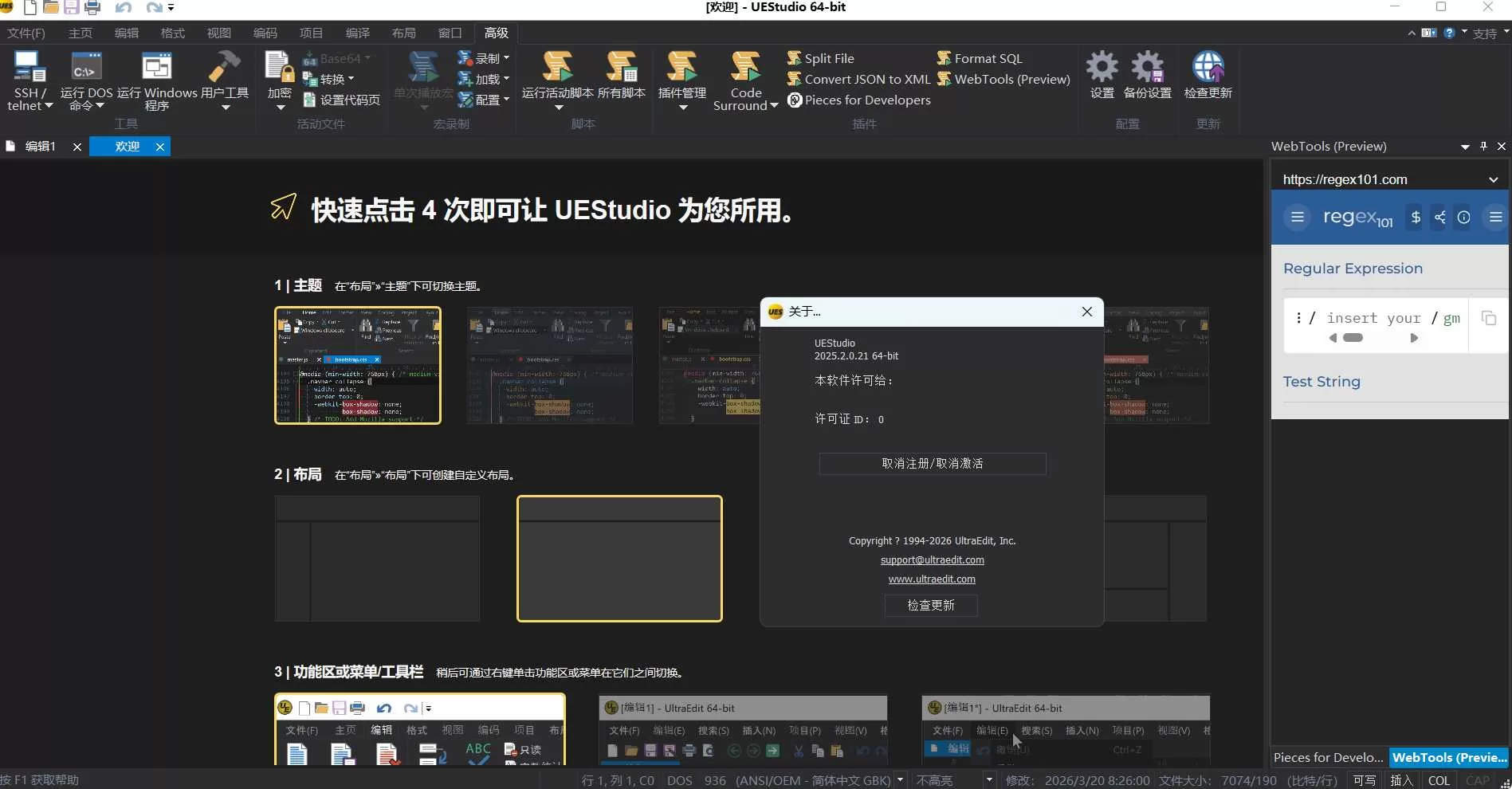 IDM UEStudio v25.2.0.24绿色