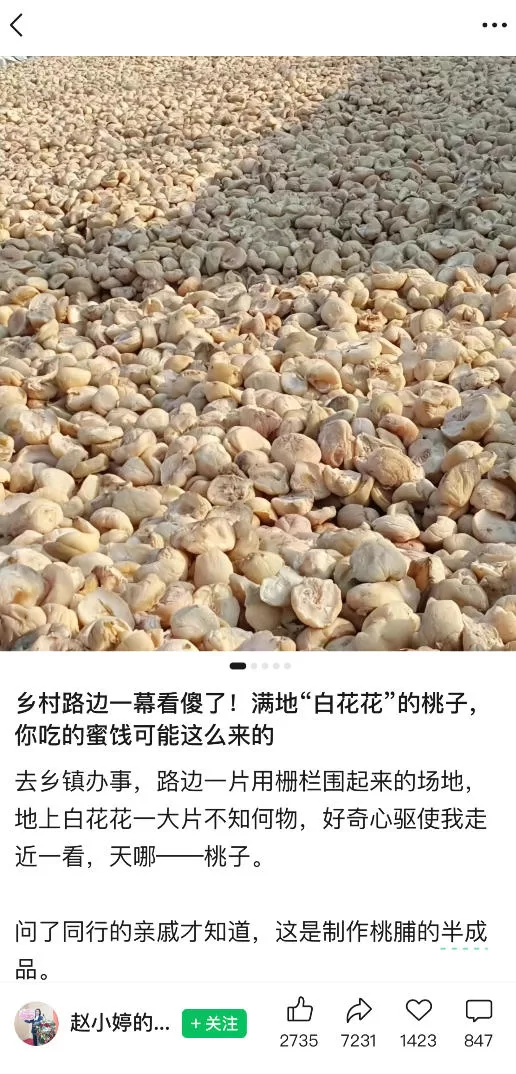 公众号小绿书贴图项目，赚收益实操玩法，听话照听话照少走90%弯路丨副业可做 -2
