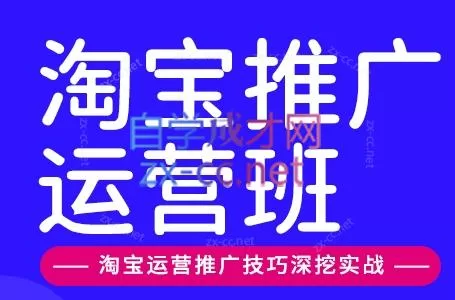 美迪电商淘宝高级运营与推广运营班（更新9月）